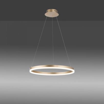 Paul Neuhaus 2382-60 - LED Prigušivi luster na sajli TITUS LED/38,5W/230V