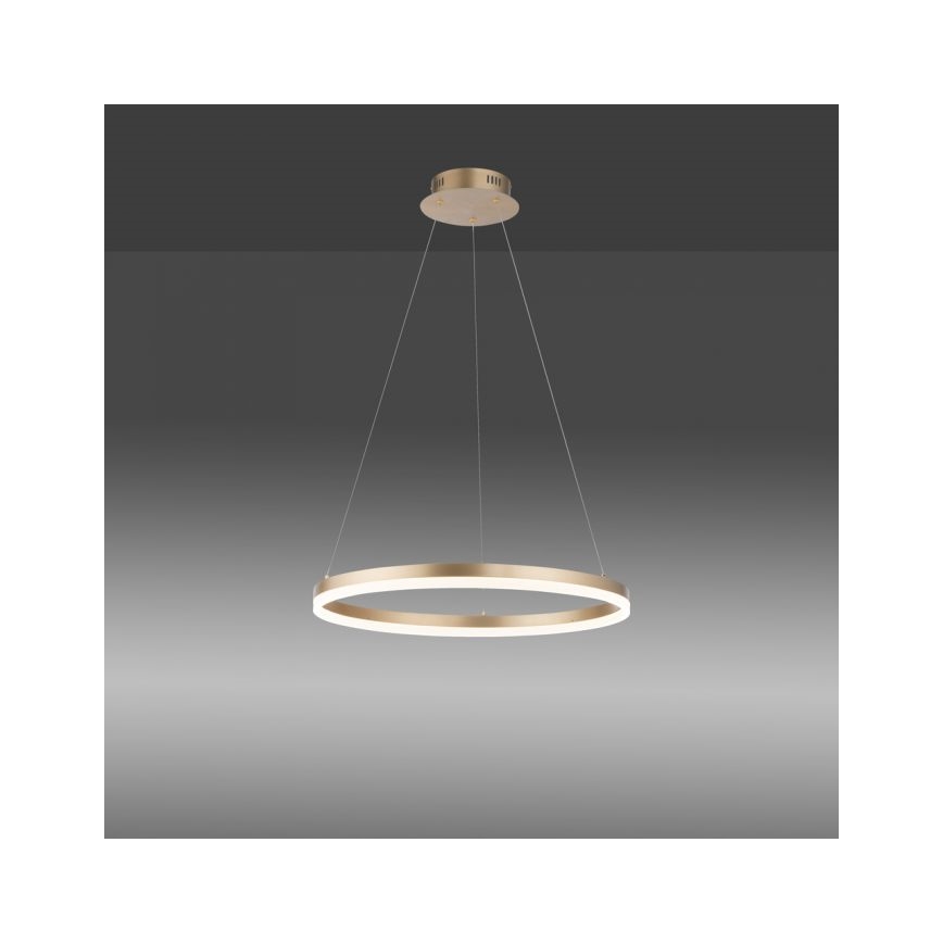 Paul Neuhaus 2382-60 - LED Prigušivi luster na sajli TITUS LED/38,5W/230V