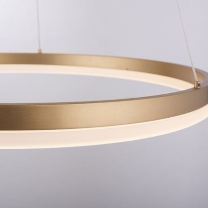 Paul Neuhaus 2382-60 - LED Prigušivi luster na sajli TITUS LED/38,5W/230V