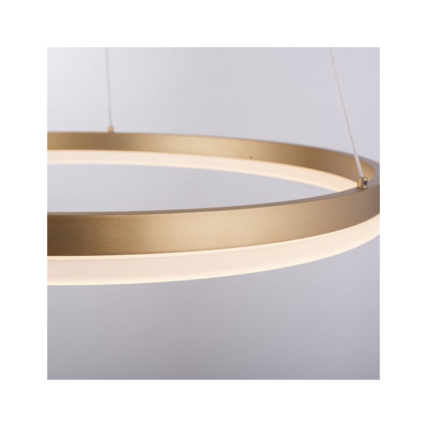 Paul Neuhaus 2382-60 - LED Prigušivi luster na sajli TITUS LED/38,5W/230V