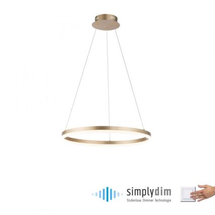 Paul Neuhaus 2382-60 - LED Prigušivi luster na sajli TITUS LED/38,5W/230V
