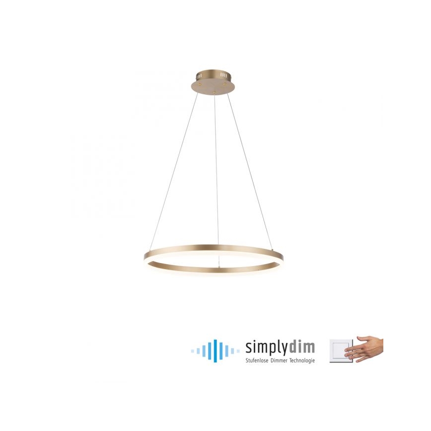 Paul Neuhaus 2382-60 - LED Prigušivi luster na sajli TITUS LED/38,5W/230V