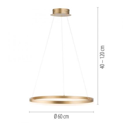 Paul Neuhaus 2382-60 - LED Prigušivi luster na sajli TITUS LED/38,5W/230V