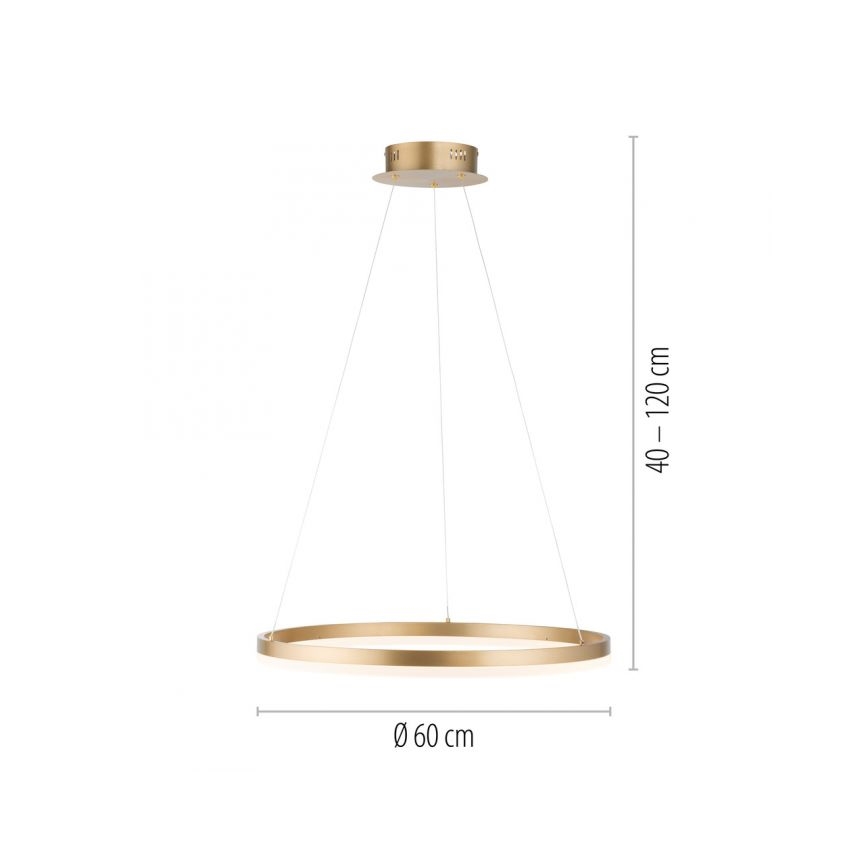 Paul Neuhaus 2382-60 - LED Prigušivi luster na sajli TITUS LED/38,5W/230V