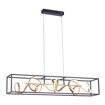 Paul Neuhaus 2416-18 - LED prigušiva luster na sajli SELINA 4xLED/10,2W/230V