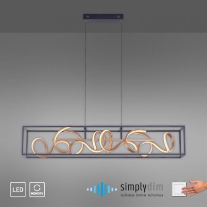 Paul Neuhaus 2416-18 - LED prigušiva luster na sajli SELINA 4xLED/10,2W/230V