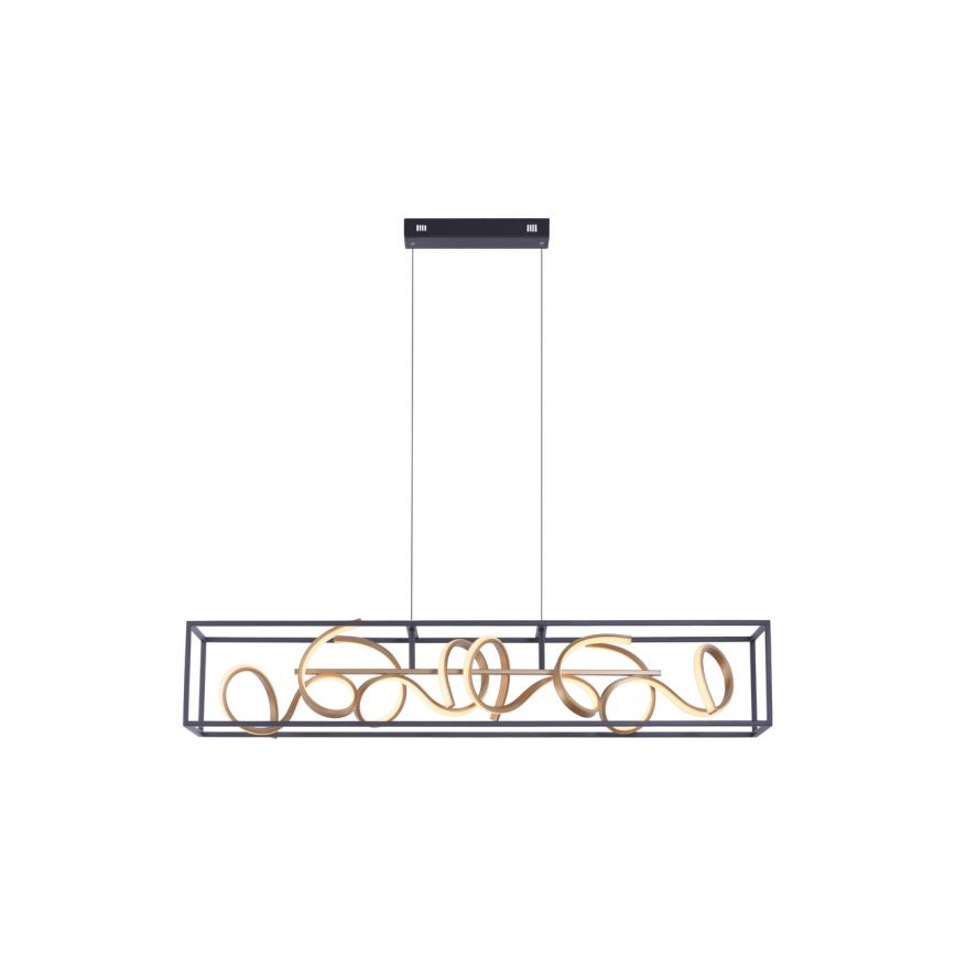 Paul Neuhaus 2416-18 - LED prigušiva luster na sajli SELINA 4xLED/10,2W/230V