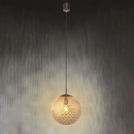 Paul Neuhaus 2420-48 - Luster na sajli GRETA 1xE27/60W/230V pr. 30 cm