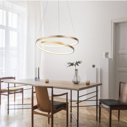 Paul Neuhaus 2472-12 - LED prigušiva luster na sajli ROMAN LED/30W/230V zlatna