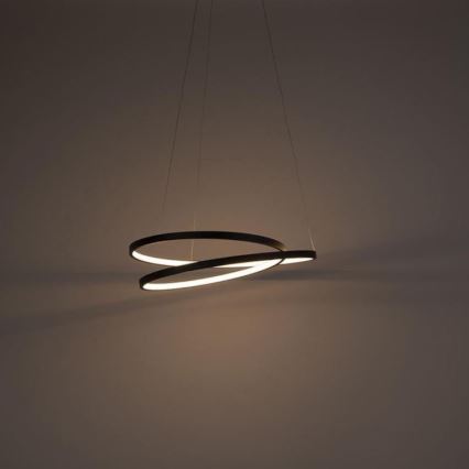 Paul Neuhaus 2472-18 - LED prigušiva luster na sajli ROMAN LED/30W/230V crna