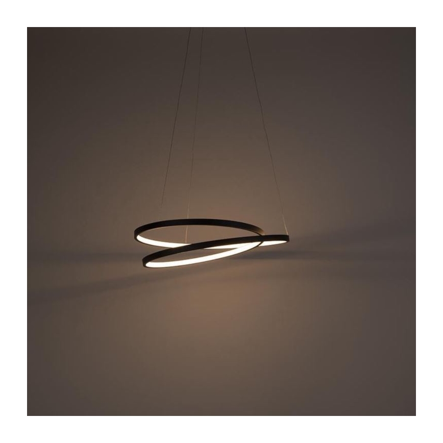 Paul Neuhaus 2472-18 - LED prigušiva luster na sajli ROMAN LED/30W/230V crna