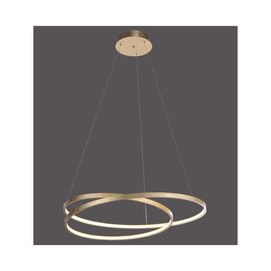 Paul Neuhaus 2474-12 - LED prigušiva luster na sajli ROMAN LED/40W/230V zlatna