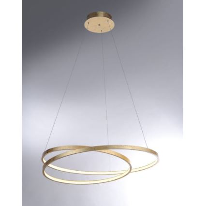 Paul Neuhaus 2474-12 - LED prigušiva luster na sajli ROMAN LED/40W/230V zlatna