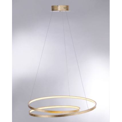 Paul Neuhaus 2474-12 - LED prigušiva luster na sajli ROMAN LED/40W/230V zlatna
