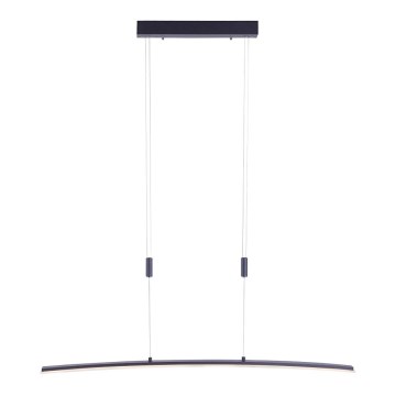 Paul Neuhaus 2530-13 - LED prigušiva luster na sajli JANINA LED/27W/230V