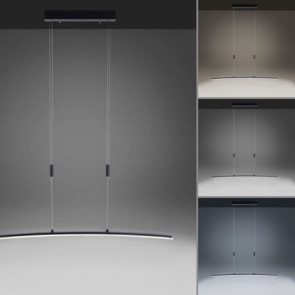 Paul Neuhaus 2530-13 - LED prigušiva luster na sajli JANINA LED/27W/230V