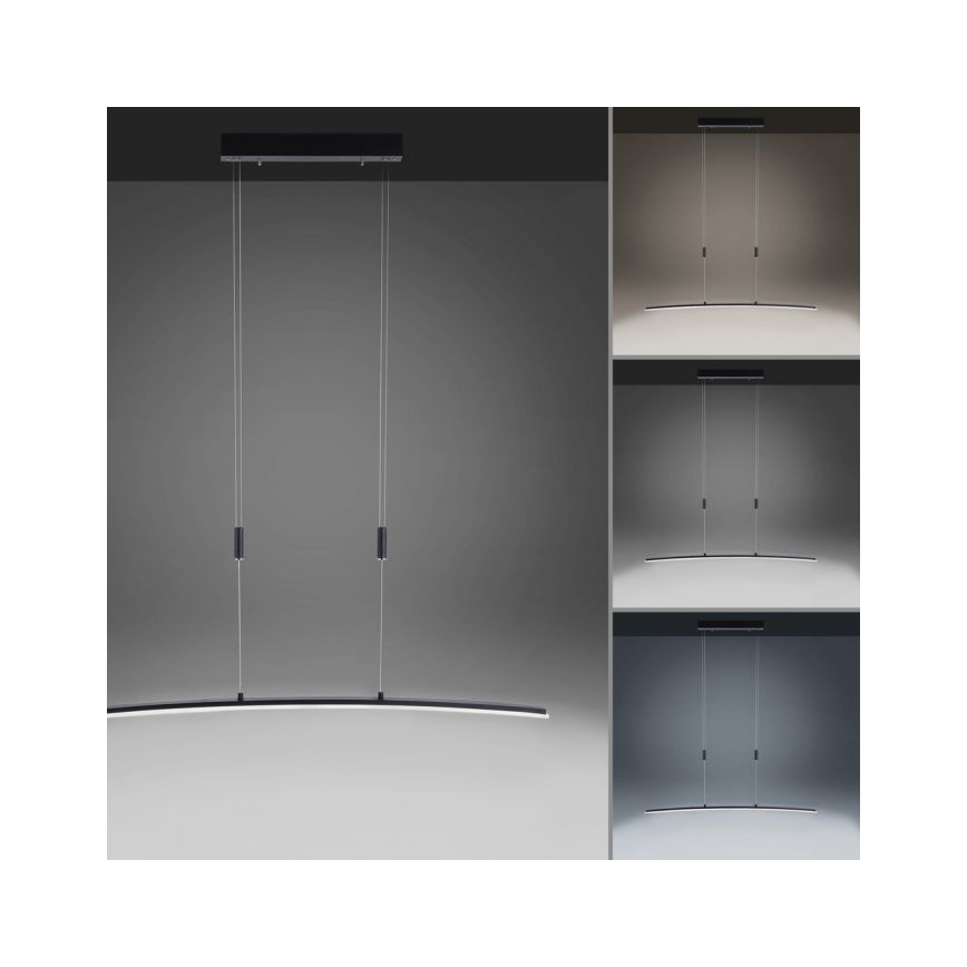 Paul Neuhaus 2530-13 - LED prigušiva luster na sajli JANINA LED/27W/230V