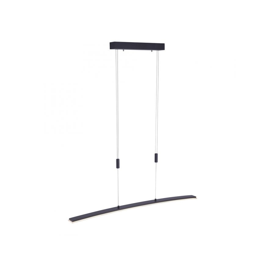 Paul Neuhaus 2530-13 - LED prigušiva luster na sajli JANINA LED/27W/230V