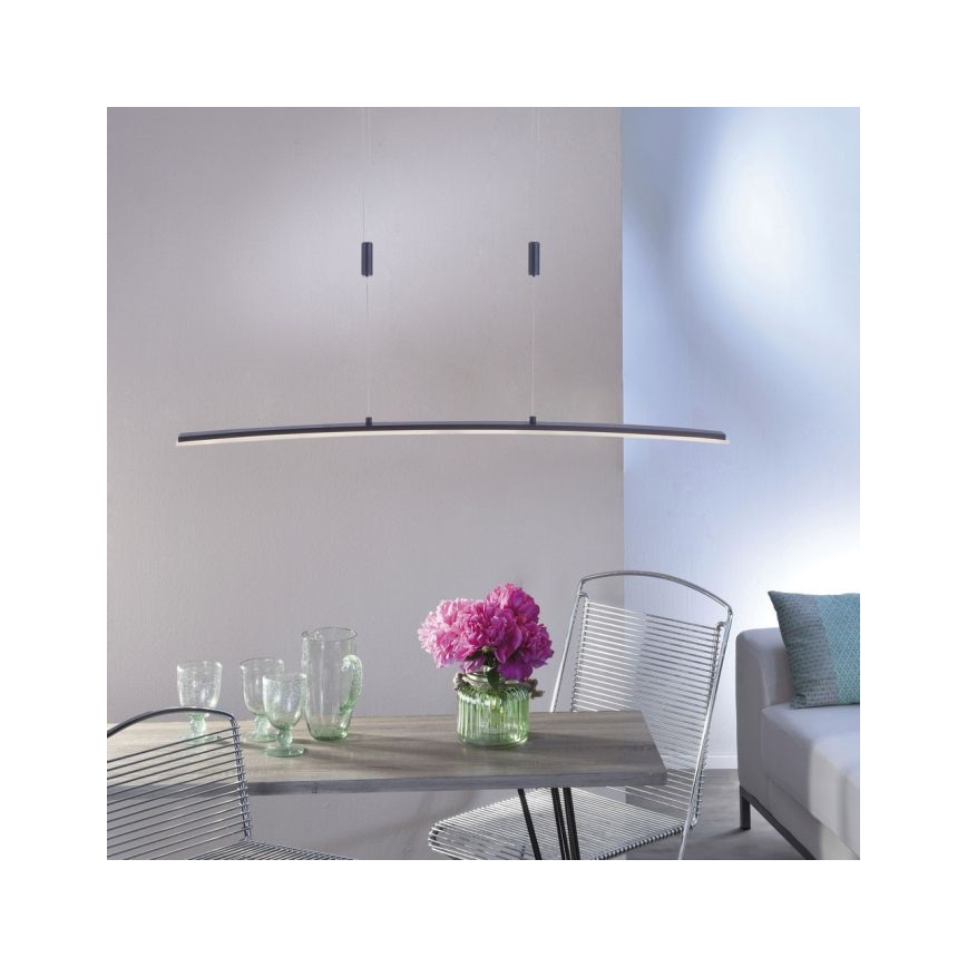 Paul Neuhaus 2530-13 - LED Prigušivi luster na sajli JANINA LED/27W/230V
