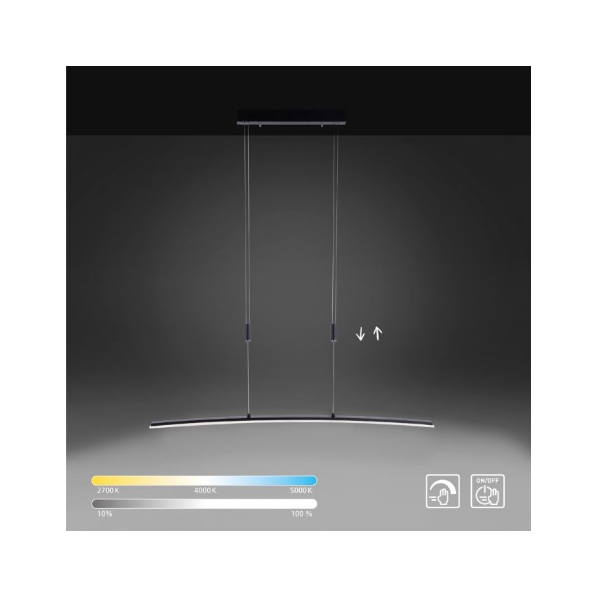 Paul Neuhaus 2530-13 - LED Prigušivi luster na sajli JANINA LED/27W/230V