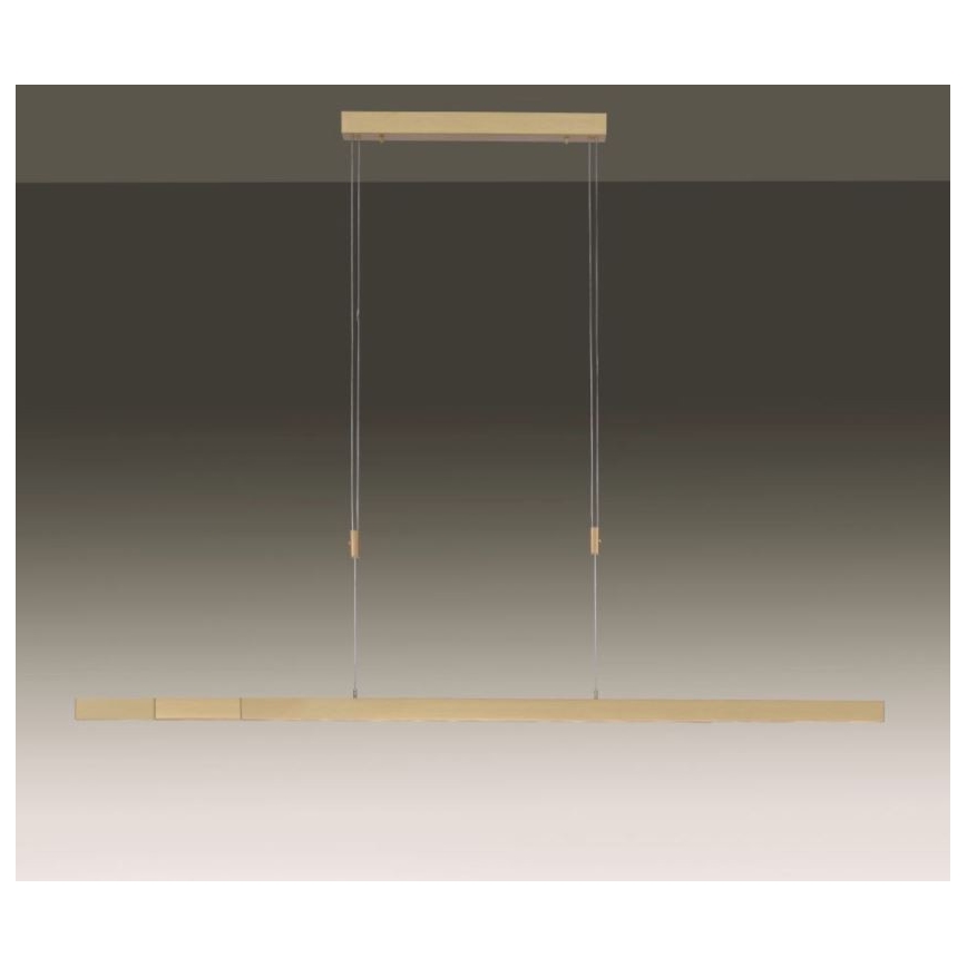 Paul Neuhaus 2568-60 - LED prigušiva luster na sajli ADRIANA LED/14W/230V 2700-5000K mesing