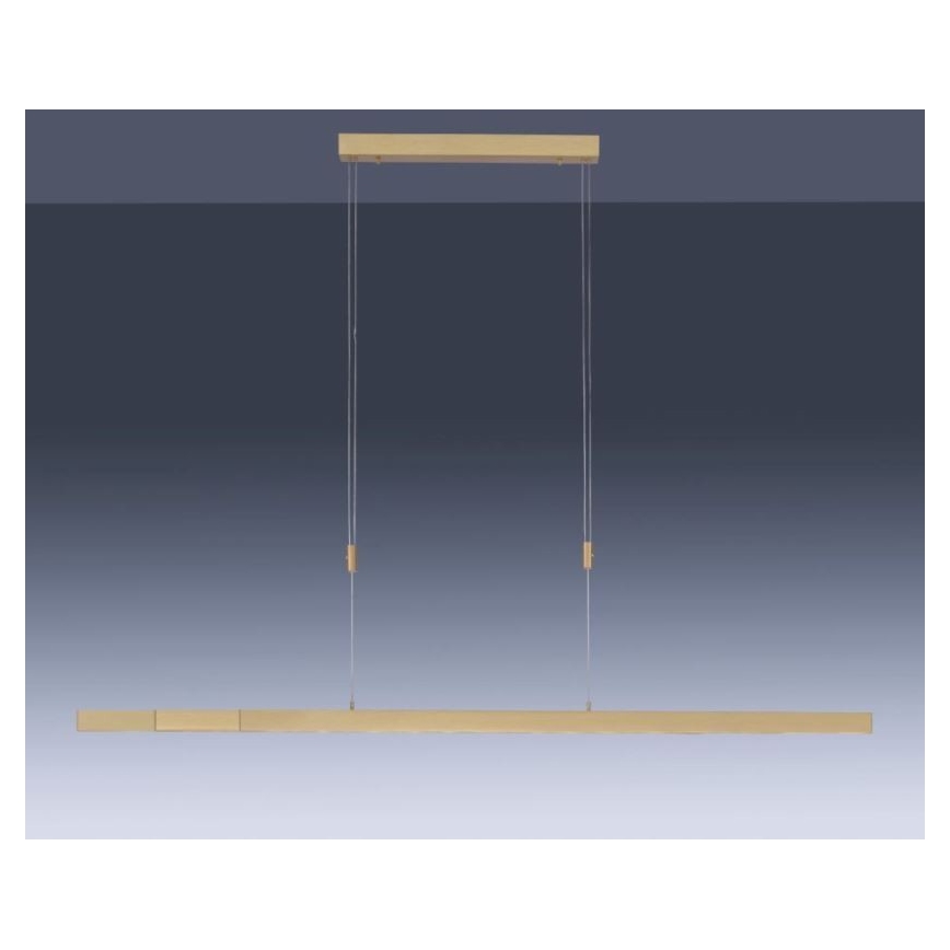 Paul Neuhaus 2568-60 - LED prigušiva luster na sajli ADRIANA LED/14W/230V 2700-5000K mesing
