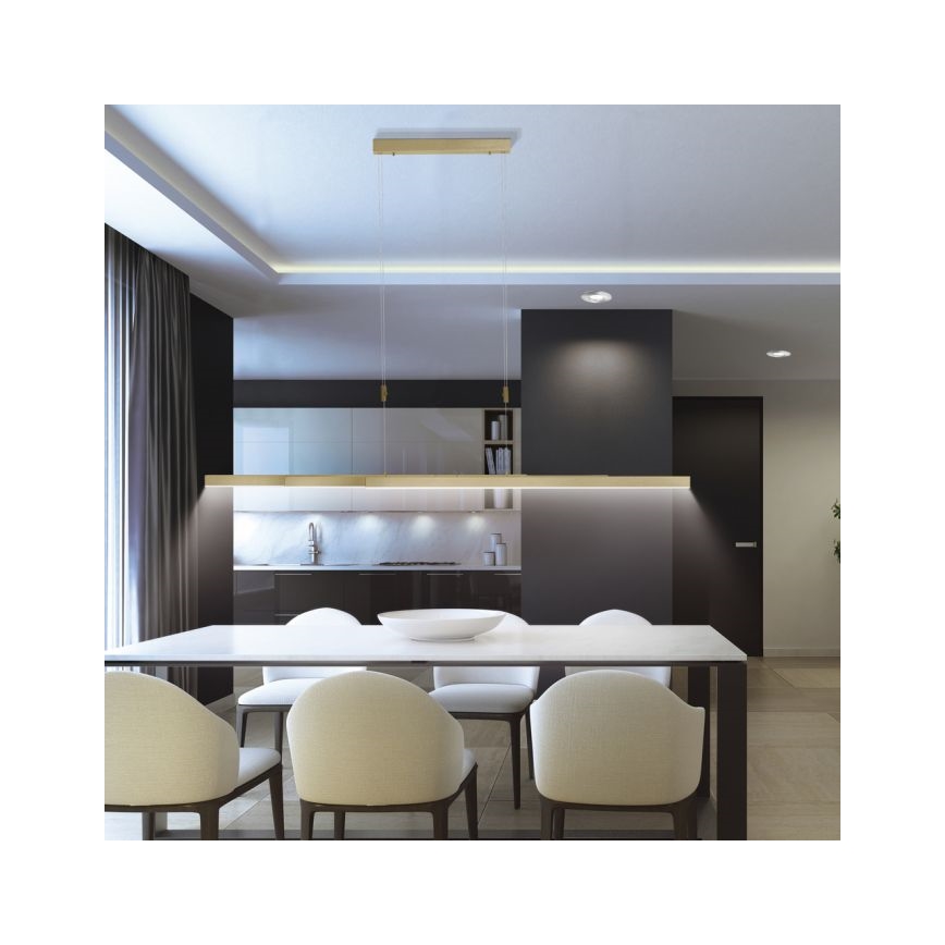 Paul Neuhaus 2568-60 - LED Prigušivi luster na sajli ADRIANA LED/14W/230V  2700-5000K mesing
