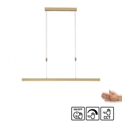 Paul Neuhaus 2568-60 - LED Prigušivi luster na sajli ADRIANA LED/14W/230V  2700-5000K mesing