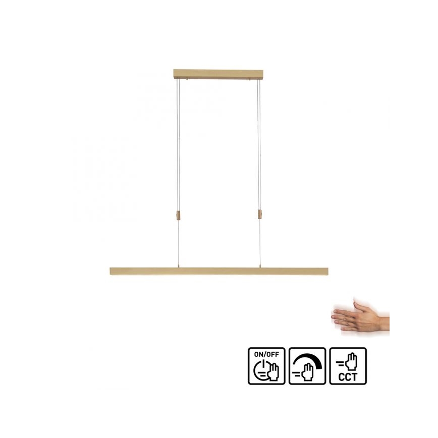 Paul Neuhaus 2568-60 - LED Prigušivi luster na sajli ADRIANA LED/14W/230V  2700-5000K mesing