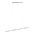 Paul Neuhaus 2568-95 - LED prigušiva luster na sajli ADRIANA LED/14W/230V 2700-5000K mat hrom