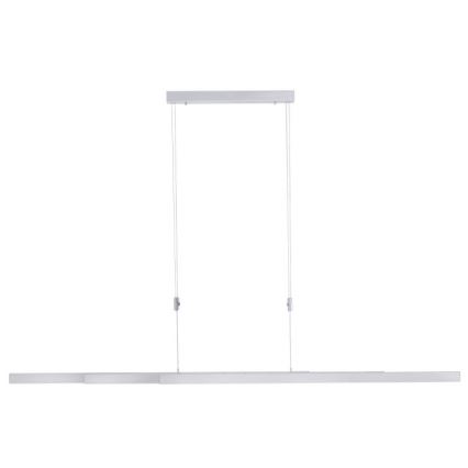 Paul Neuhaus 2568-95 - LED Prigušivi luster na sajli ADRIANA LED/14W/230V 2700-5000K mat krom