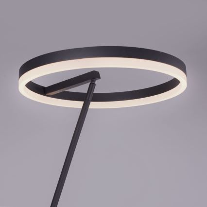 Paul Neuhaus 381-13 - LED prigušiva podna lampa TITUS LED/19,5W/230V