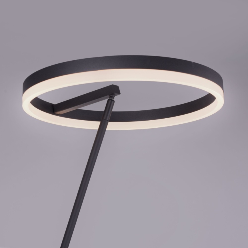 Paul Neuhaus 381-13 - LED prigušiva podna lampa TITUS LED/19,5W/230V