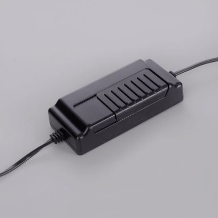 Paul Neuhaus 381-13 - LED prigušiva podna lampa TITUS LED/19,5W/230V