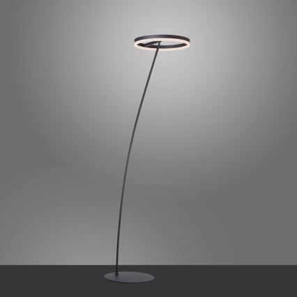Paul Neuhaus 381-13 - LED prigušiva podna lampa TITUS LED/19,5W/230V