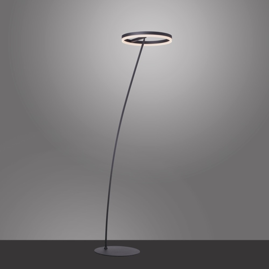Paul Neuhaus 381-13 - LED prigušiva podna lampa TITUS LED/19,5W/230V