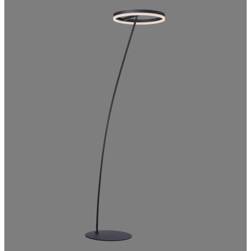 Paul Neuhaus 381-13 - LED prigušiva podna lampa TITUS LED/19,5W/230V