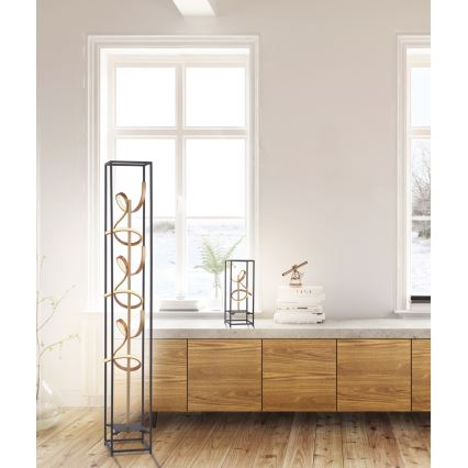 Paul Neuhaus 415-18 - LED prigušiva podna lampa SELINA 3xLED/10,2W/230V