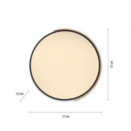 Paul Neuhaus 6071-18 - LED prigušiva plafonska svetiljka Q-PIATO LED/35W/230V prečnik 51 cm 2700-5000K Wi-Fi + daljinsko upravljanje