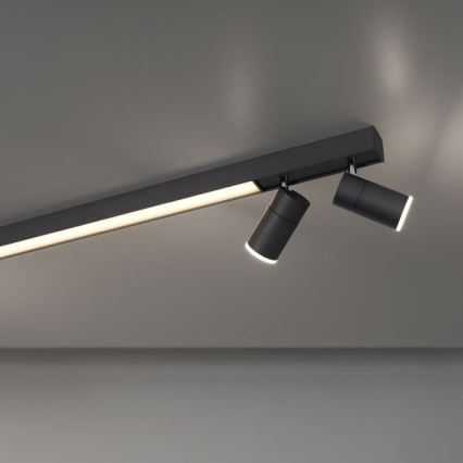 Paul Neuhaus 6121-13 - LED Prigušiva reflektorska lampa PURE 4xLED/4W/230V + LED/9W 2700-5000K + Daljinski upravljač