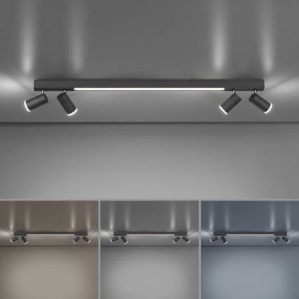 Paul Neuhaus 6121-13 - LED Prigušiva reflektorska lampa PURE 4xLED/4W/230V + LED/9W 2700-5000K + Daljinski upravljač