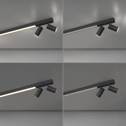 Paul Neuhaus 6121-13 - LED Prigušiva reflektorska lampa PURE 4xLED/4W/230V + LED/9W 2700-5000K + Daljinski upravljač