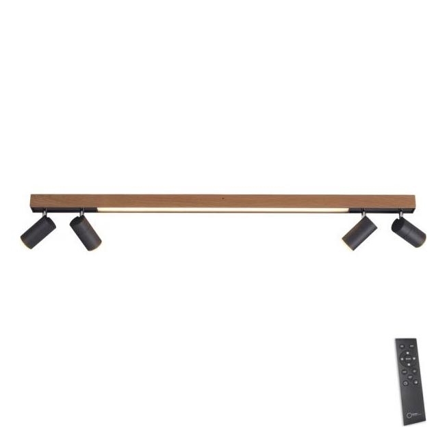 Paul Neuhaus 6121-79 - LED prigušiva spot svetiljka PURE 4xLED/4W/230V + LED/9W 2700-5000K + daljinski upravljač