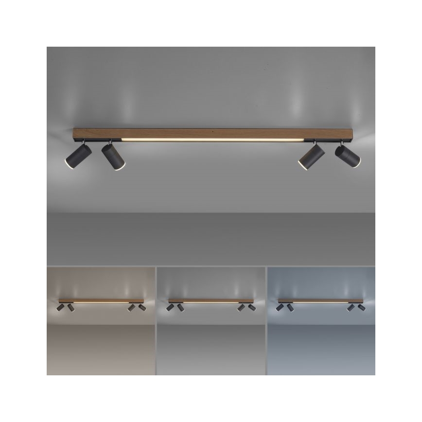 Paul Neuhaus 6121-79 - LED prigušiva spot svetiljka PURE 4xLED/4W/230V + LED/9W 2700-5000K + daljinski upravljač