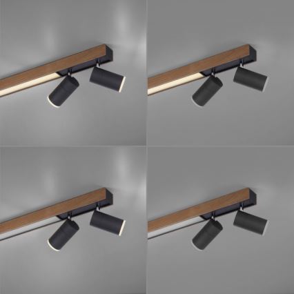 Paul Neuhaus 6121-79 - LED prigušiva spot svetiljka PURE 4xLED/4W/230V + LED/9W 2700-5000K + daljinski upravljač