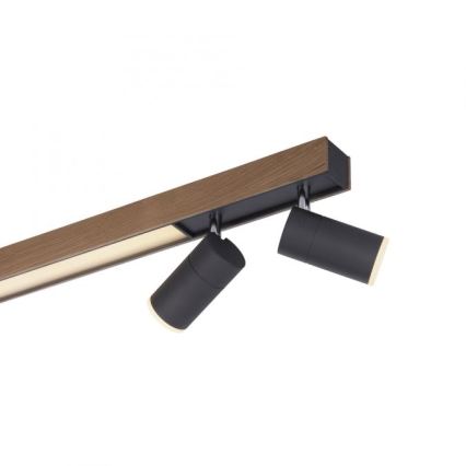 Paul Neuhaus 6121-79 - LED prigušiva spot svetiljka PURE 4xLED/4W/230V + LED/9W 2700-5000K + daljinski upravljač