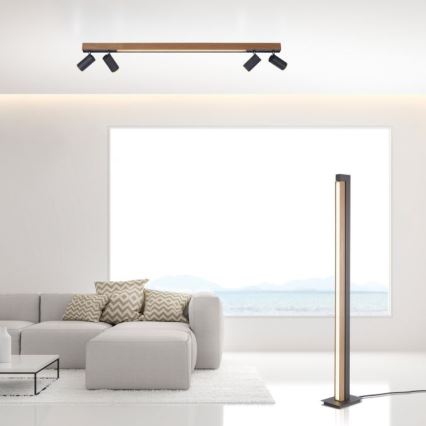 Paul Neuhaus 6121-79 - LED Prigušiva reflektorska lampa PURE 4xLED/4W/230V + LED/9W 2700-5000K + Daljinski upravljač