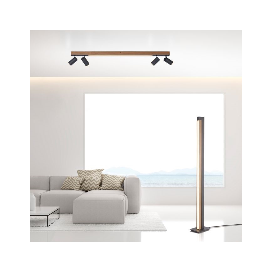 Paul Neuhaus 6121-79 - LED Prigušiva reflektorska lampa PURE 4xLED/4W/230V + LED/9W 2700-5000K + Daljinski upravljač