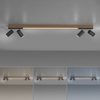 Paul Neuhaus 6121-79 - LED Prigušiva reflektorska lampa PURE 4xLED/4W/230V + LED/9W 2700-5000K + Daljinski upravljač