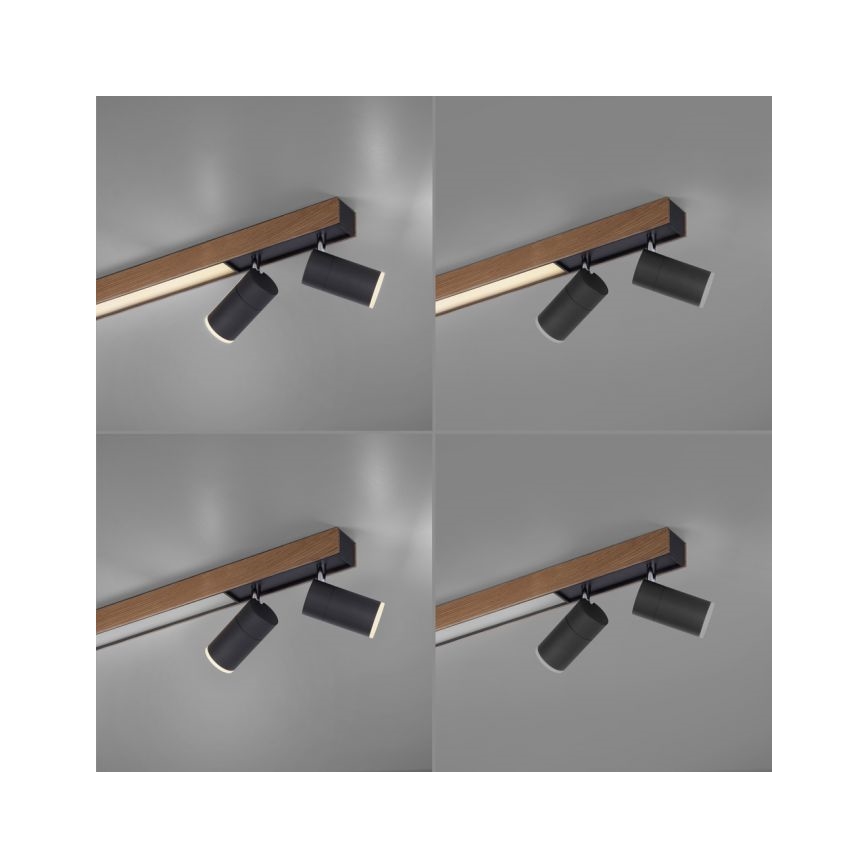 Paul Neuhaus 6121-79 - LED Prigušiva reflektorska lampa PURE 4xLED/4W/230V + LED/9W 2700-5000K + Daljinski upravljač